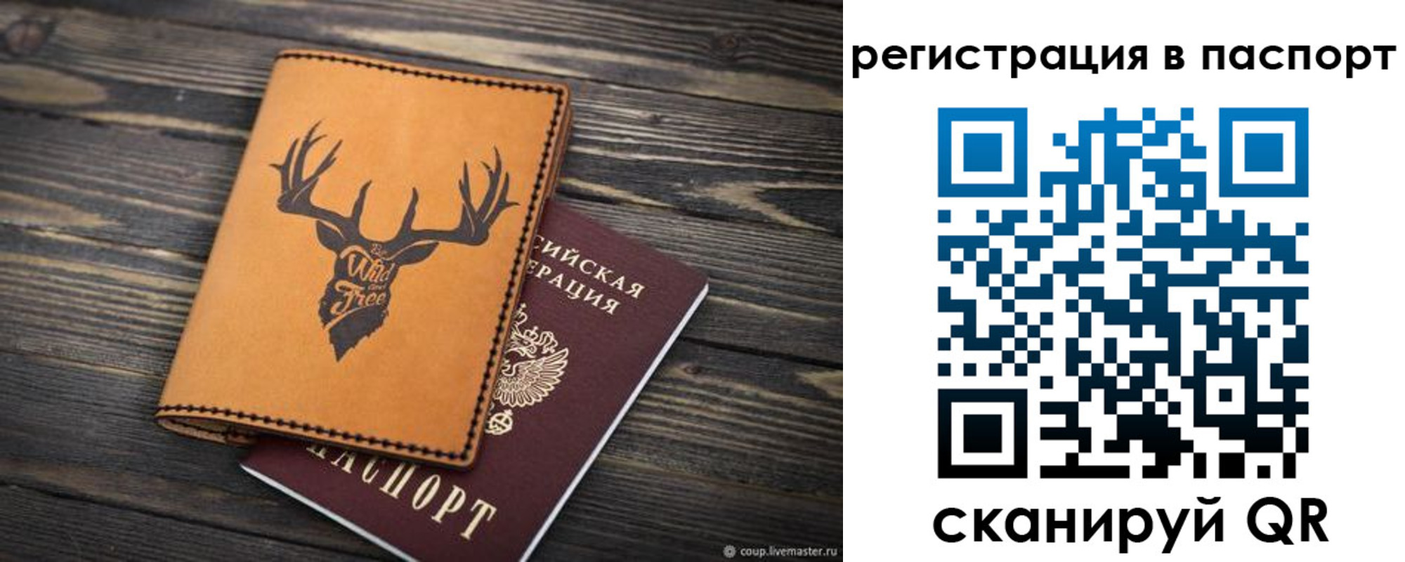 прописка паспорт в Мордовии